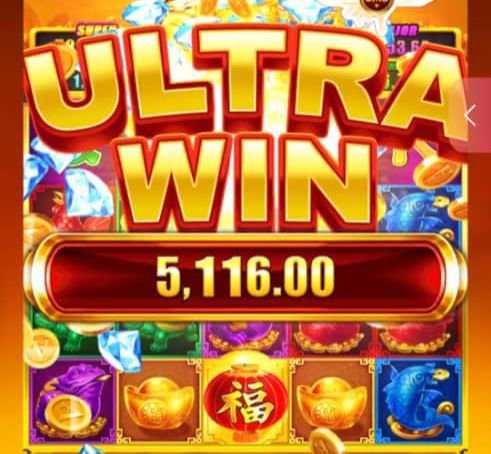 WhatsApp Image 2026-01-13 at 4.39.36 PM